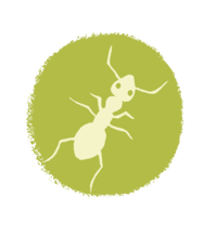 Ameisen Icon